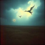 Where the Stars Sleep