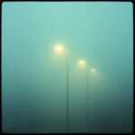 誰も知らない僕